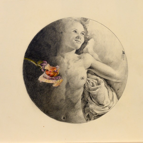 Thumbnail for Dessin N°52 aromate